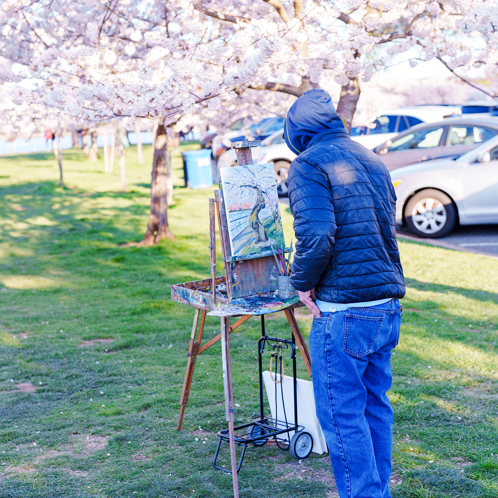 Painting Cherry Blossoms